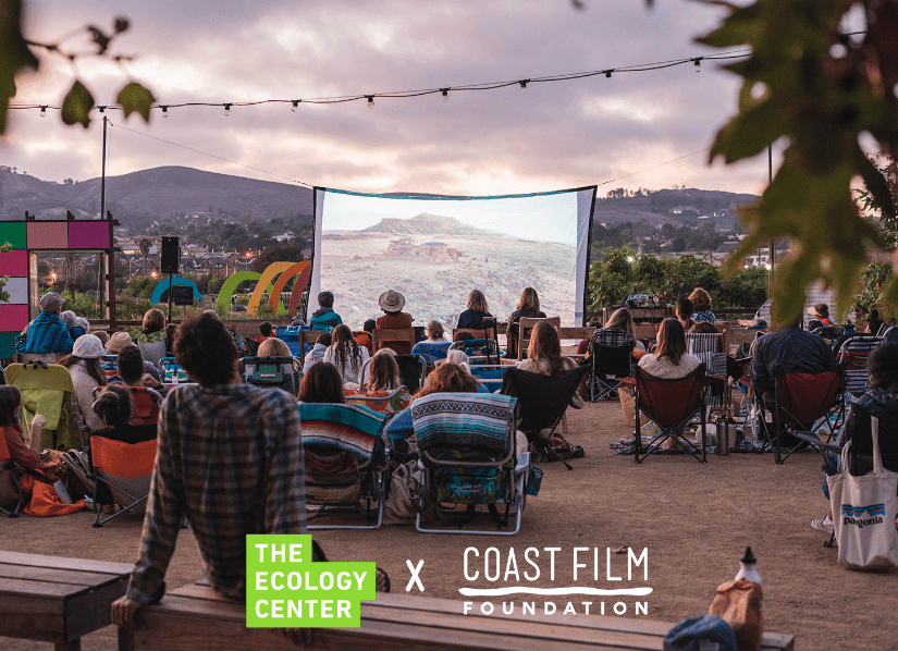 group of people watching film on the beach